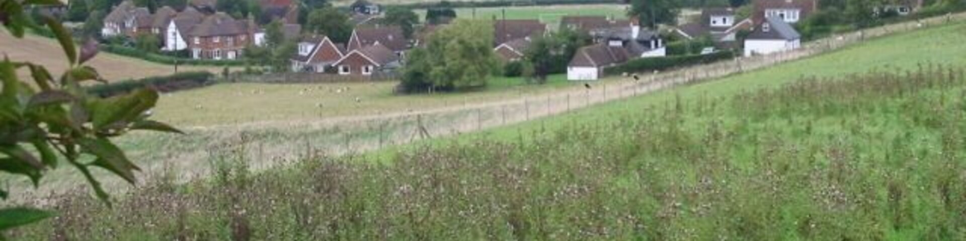 Looking NE towards housing at the north of Elham The houses are on Fairfield and Park Lane.