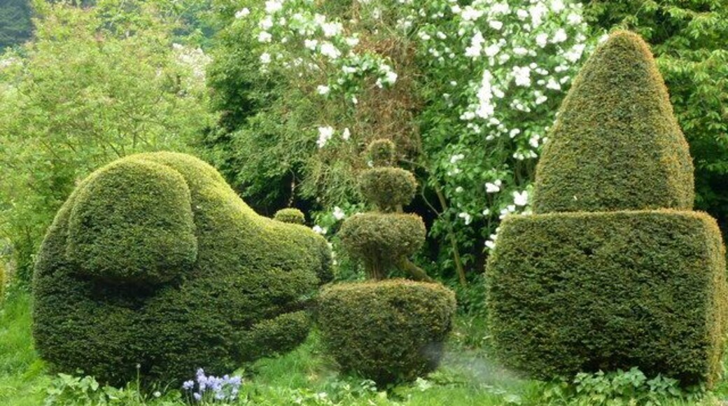 Topiary in a garden off the A260 Canterbury to Folkestone Road