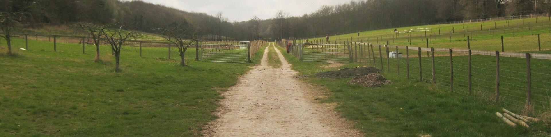Bridleway to Stone Street This bridleway leads from Hardres Court Road past Hardres Farm Shop and many horse paddocks towards Cobsdane Wood (in the background).