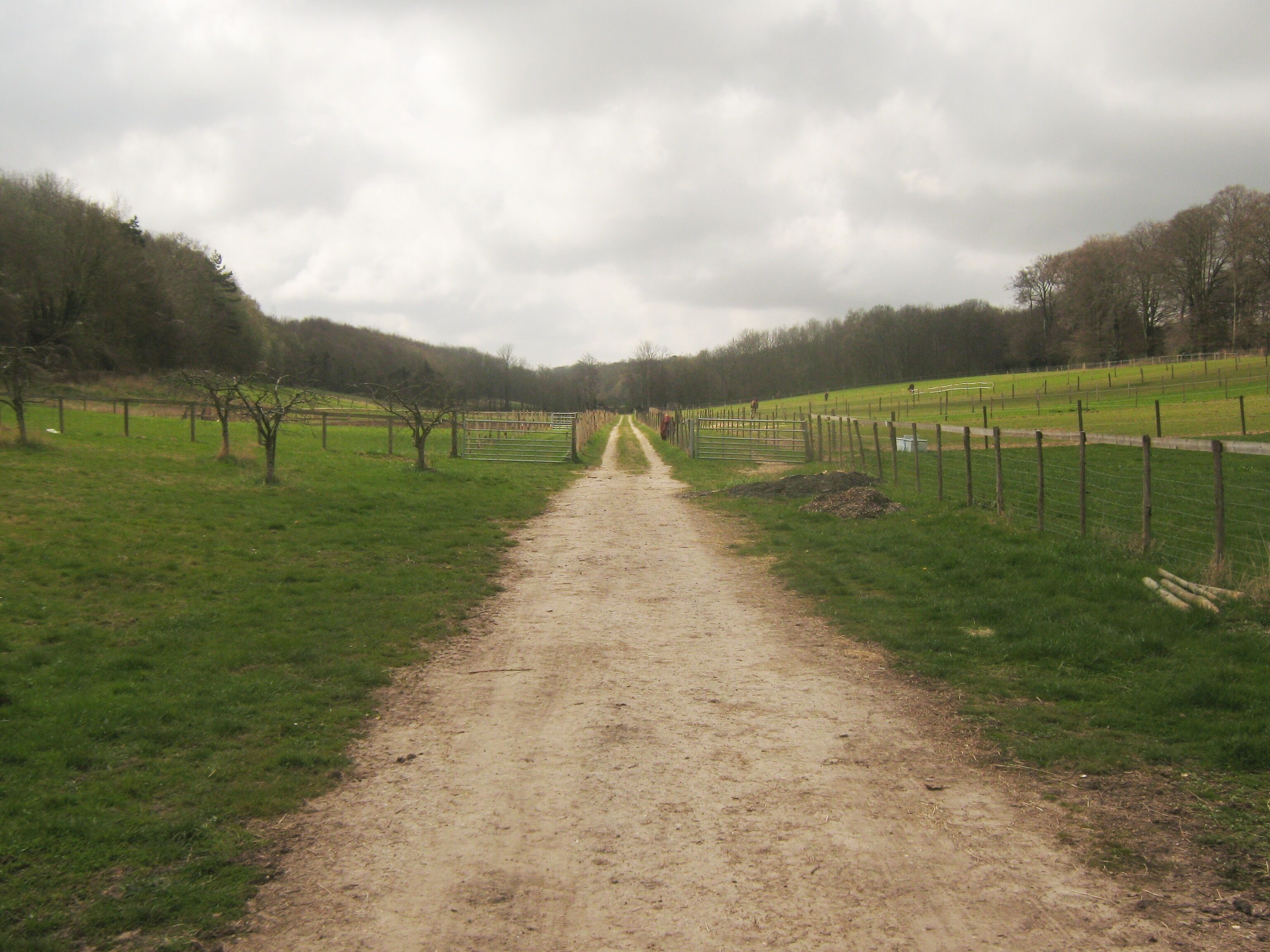 A dirt path leading through a rural landscape with green fields and trees on either side.