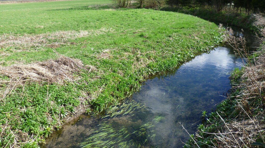 The Nail Bourne at Kingston