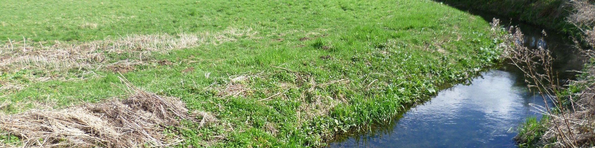 The Nail Bourne at Kingston