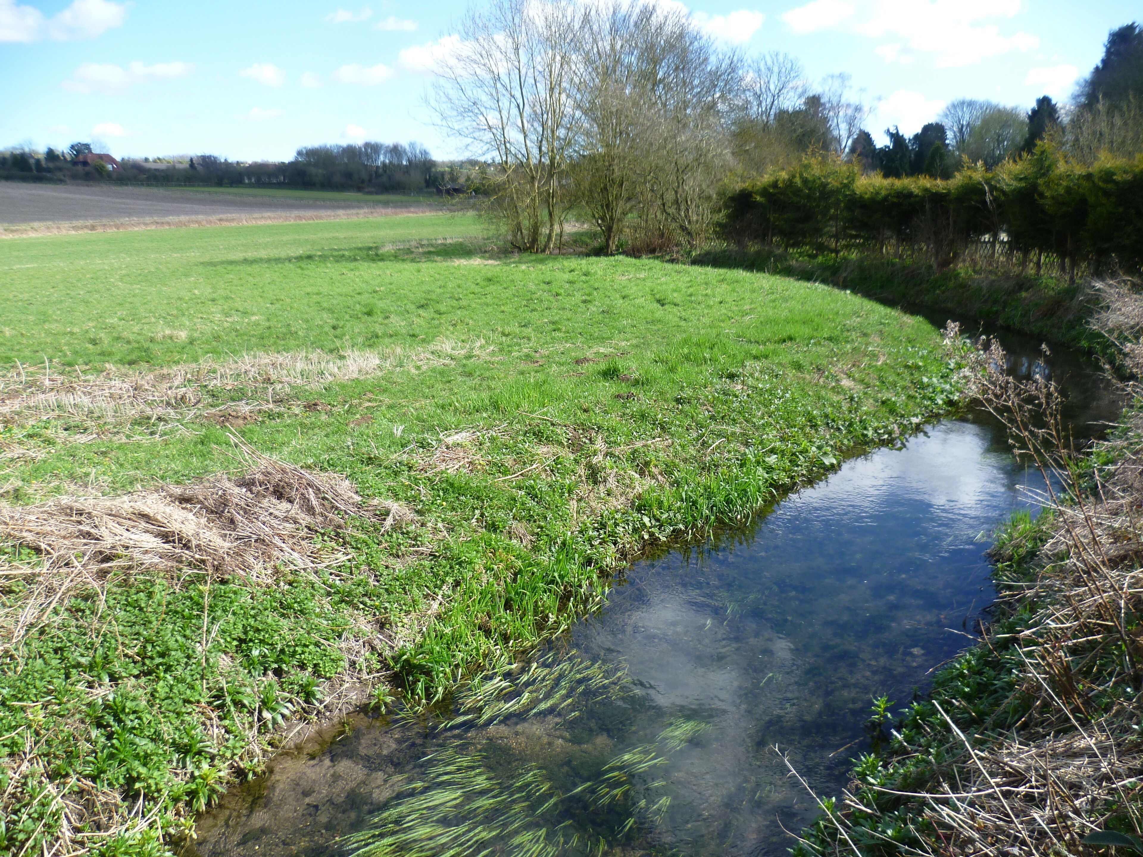 A narrow stream meandering through a grassy field with trees and a distant field in the background.