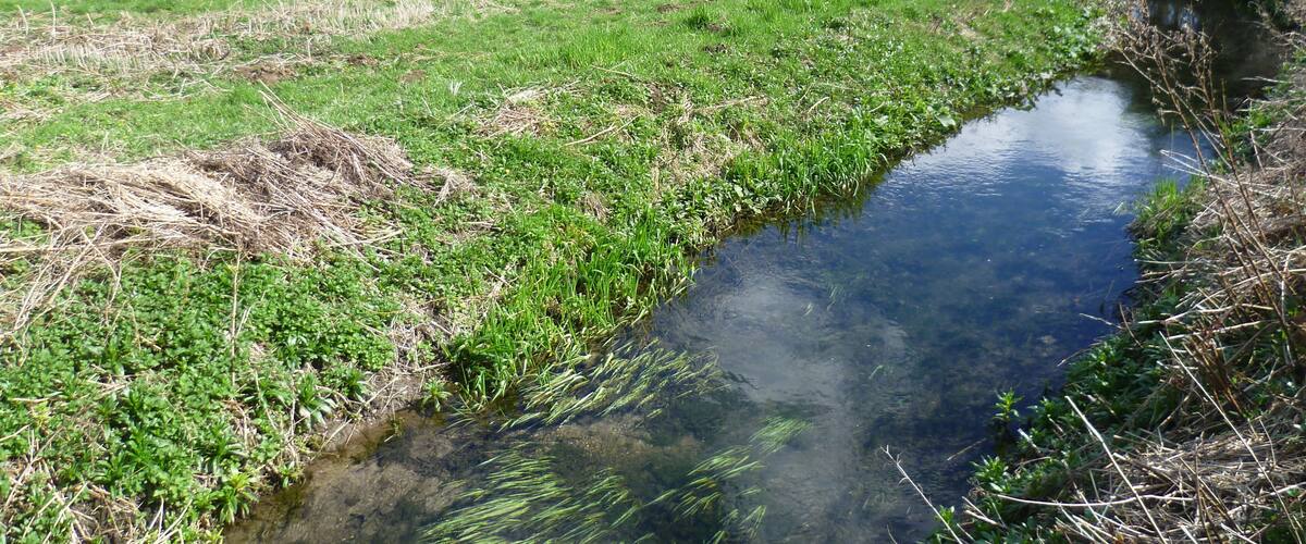 A narrow stream meandering through a grassy field with trees and a distant field in the background.