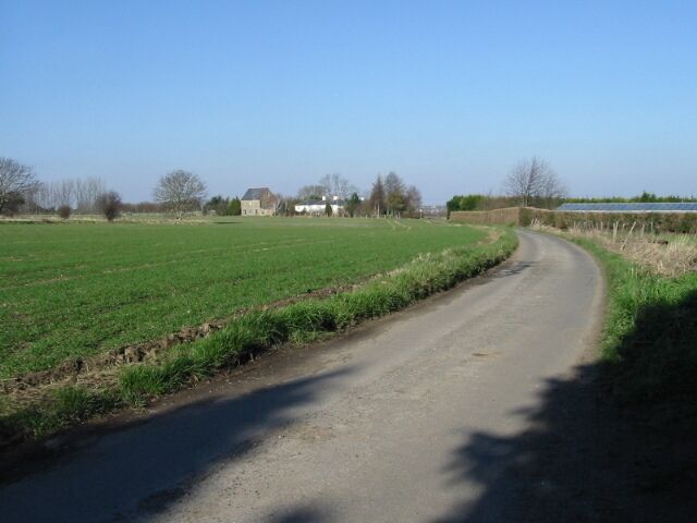 View along Mill Road The greenhouse roof visible above the hedge is part of Summerfield Nursery