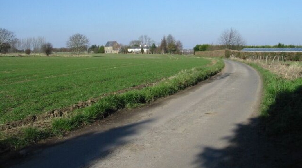View along Mill Road The greenhouse roof visible above the hedge is part of Summerfield Nursery