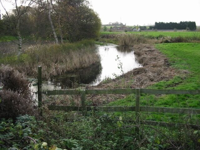 View S along stream from Dam Bridge