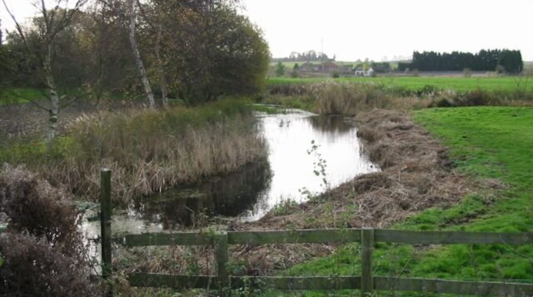 View S along stream from Dam Bridge
