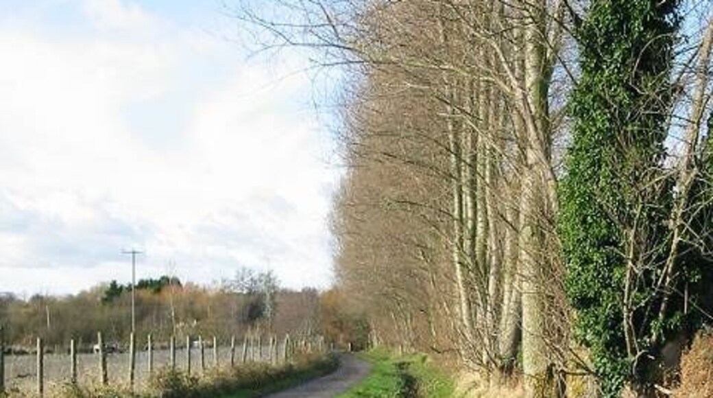 View along Rusham Road