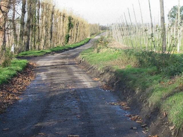 Looking N along Pedding Lane