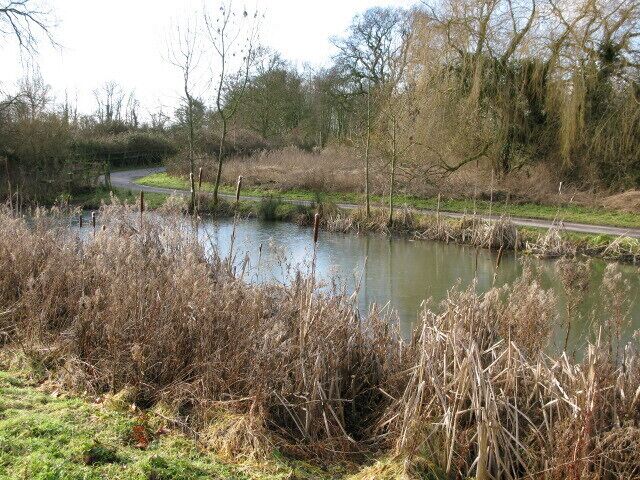 Pond near Elmstone church