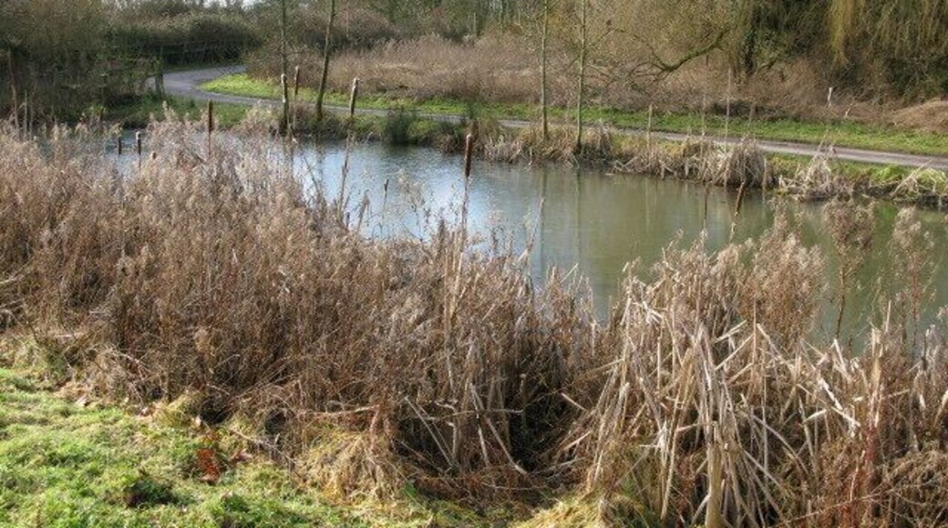 Pond near Elmstone church