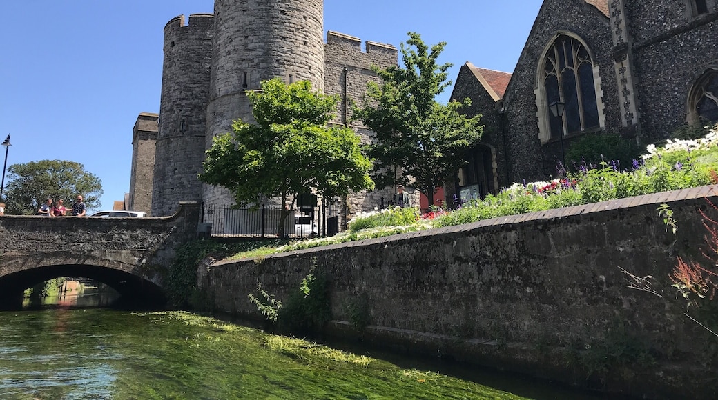 Punting on a lazy Saturday afternoon in Canterbury