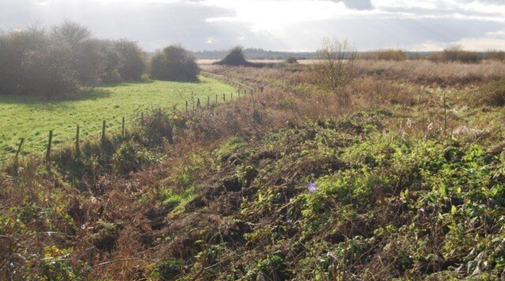 Part of the old course of the Great Stour This channel is part of a cut off meander, it can be seen at https://wtp2.appspot.com/wheresthepath.htm