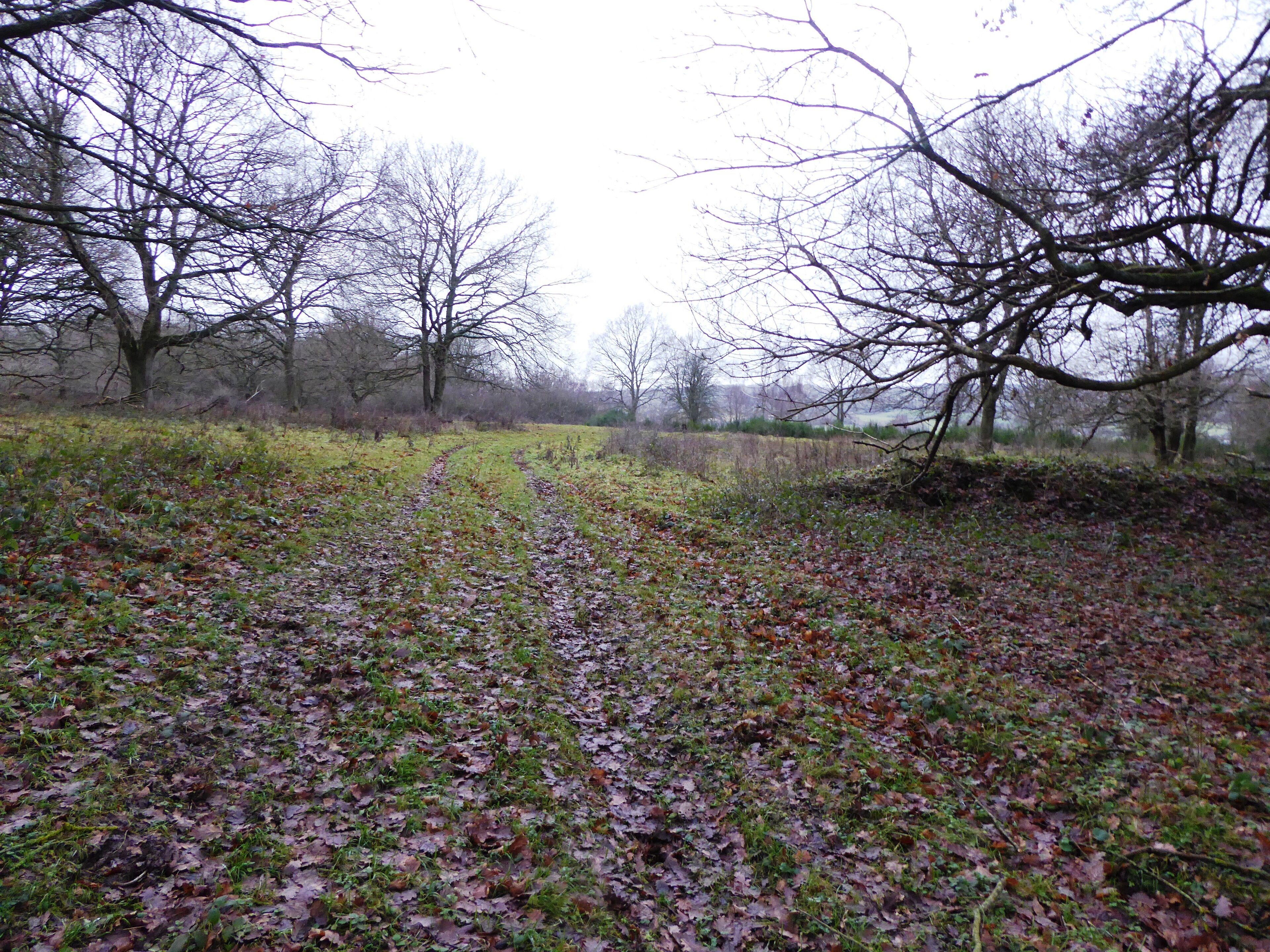 Broadham Down is a nature reserve west of Canterbury in Kent. It is managed by the Kent Wildlife Trust.