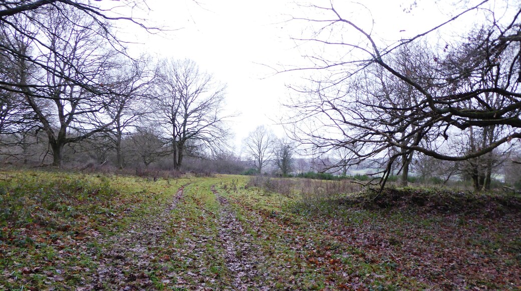 Broadham Down is a nature reserve west of Canterbury in Kent. It is managed by the Kent Wildlife Trust.