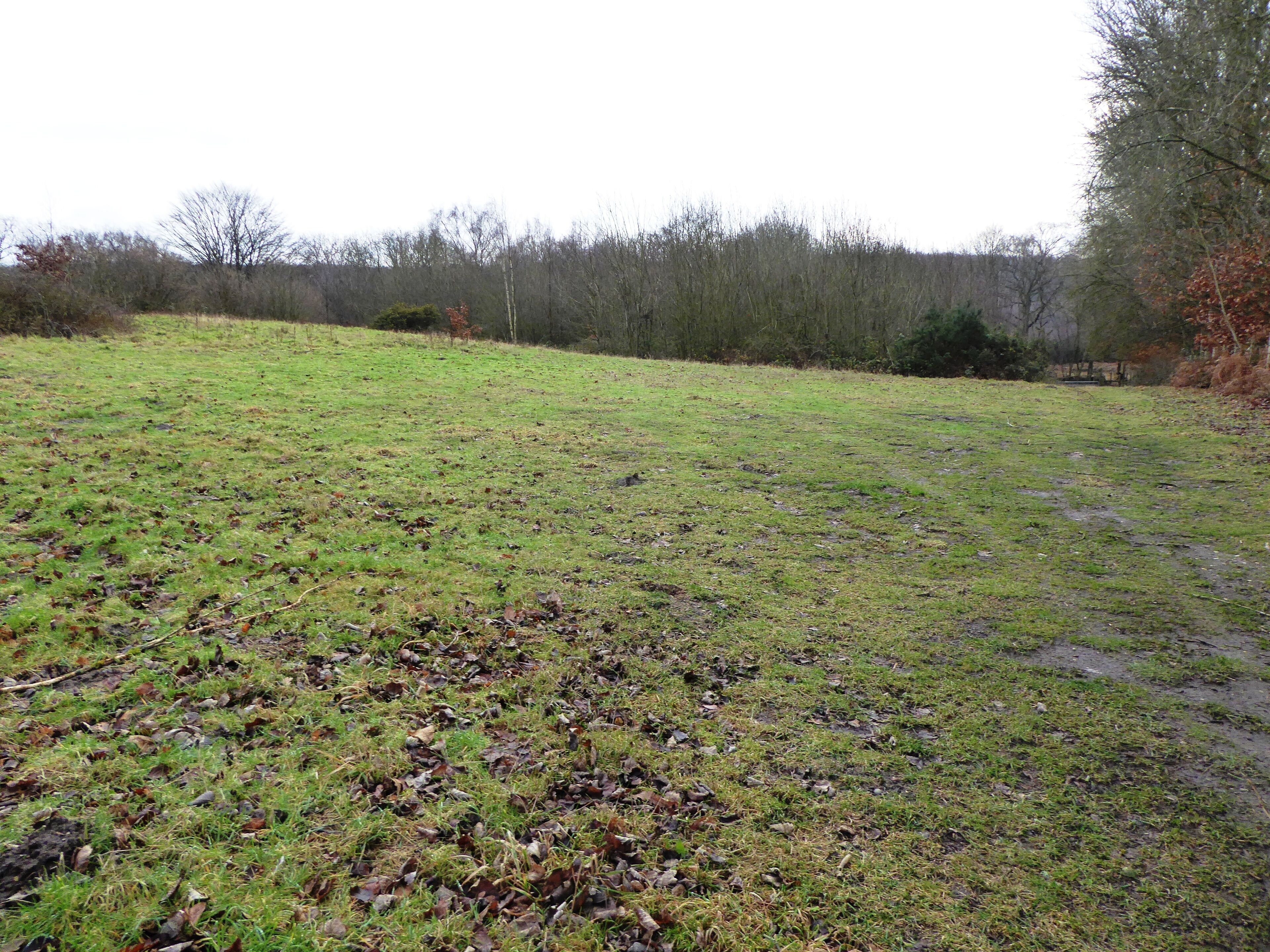 South Blean is a nature reserve west of Canterbury in Kent. It is managed by the Kent Wildlife Trust.