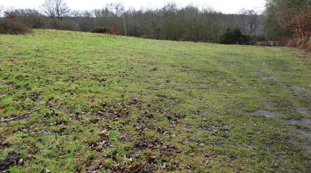 South Blean is a nature reserve west of Canterbury in Kent. It is managed by the Kent Wildlife Trust.