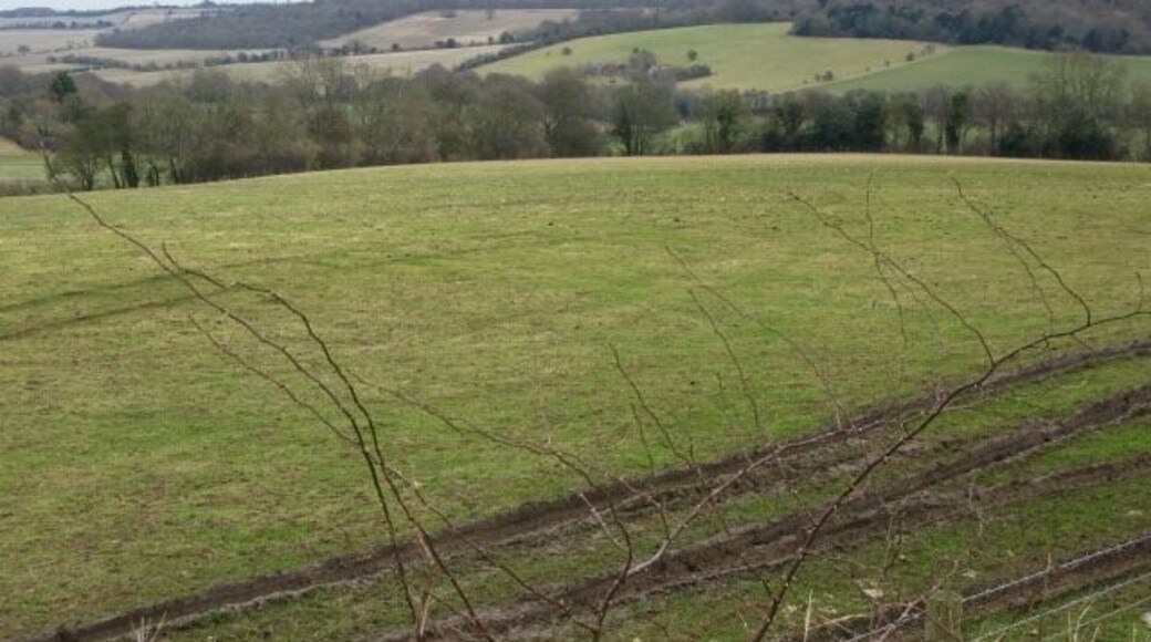 Looking NE across the downs