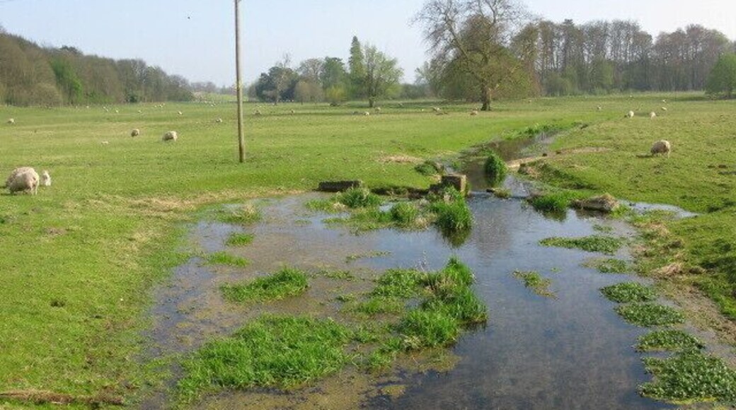 Looking S along the Nailbourne in Bourne Park