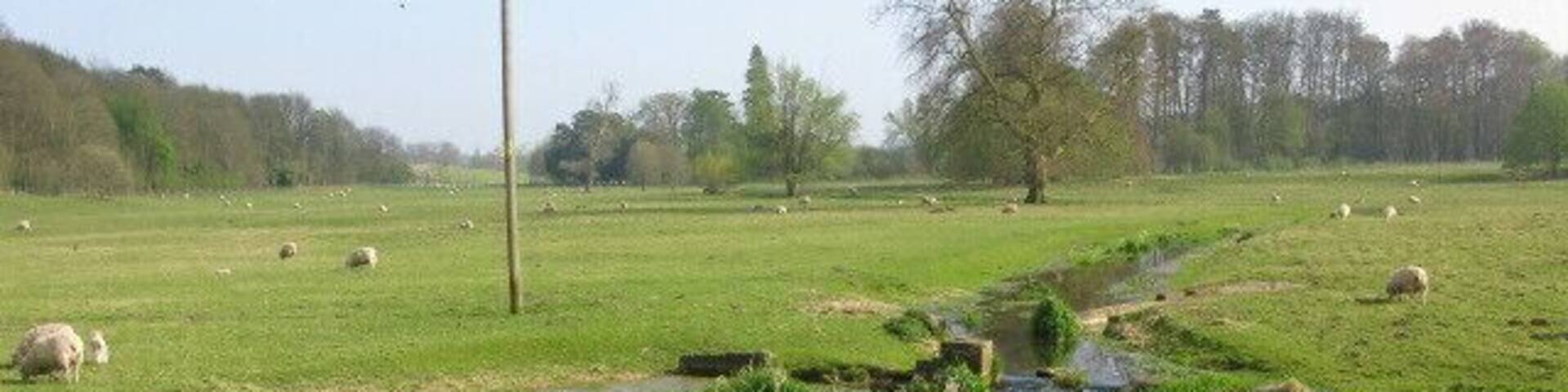 Looking S along the Nailbourne in Bourne Park