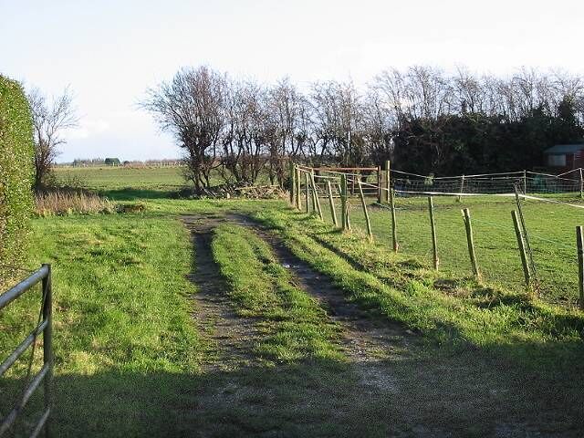 Looking E across farmland from Durlock Road From a gateway just to the South of The Rookery