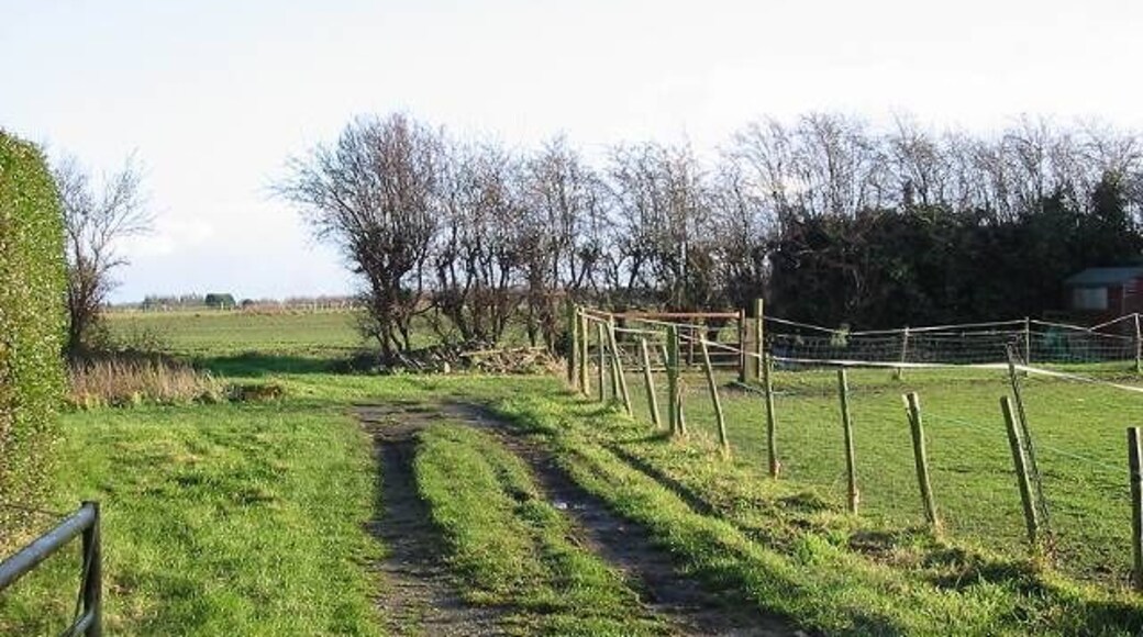 Looking E across farmland from Durlock Road From a gateway just to the South of The Rookery