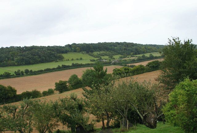 Sutton Hook Wood. looking from Ansdore Kent