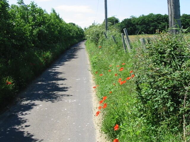 View along lane near Deerson Farm The lane does not appear to have a name, it connects Deerson Land with Hearts Delight and Wenderton Lanes.