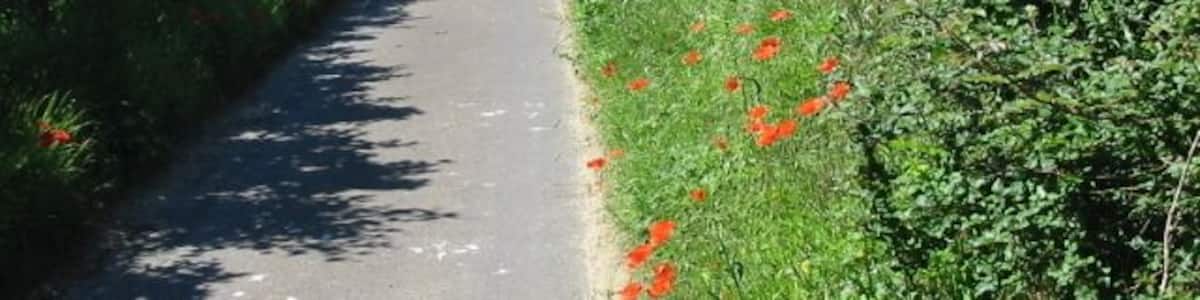 View along lane near Deerson Farm The lane does not appear to have a name, it connects Deerson Land with Hearts Delight and Wenderton Lanes.