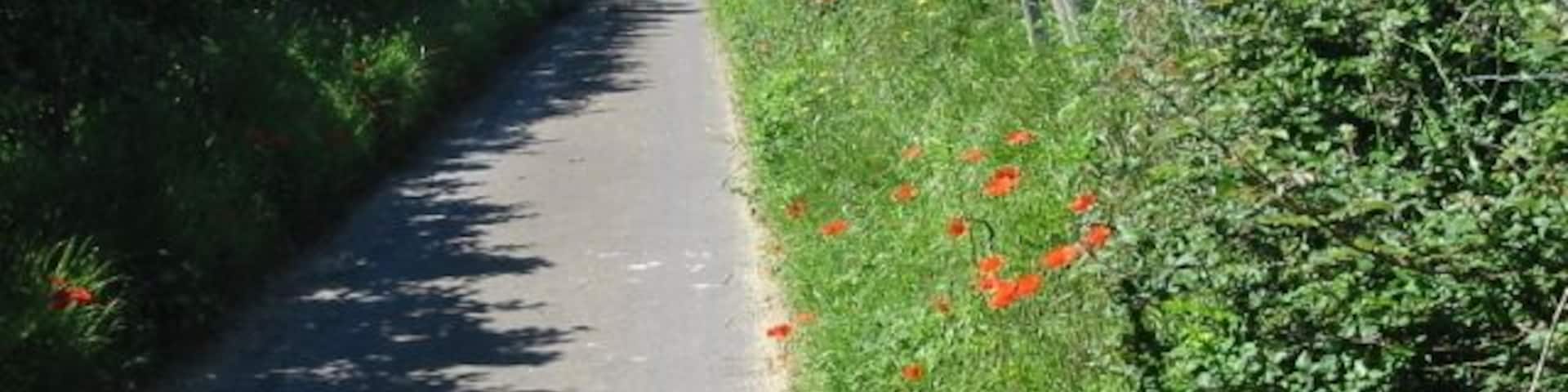 View along lane near Deerson Farm The lane does not appear to have a name, it connects Deerson Land with Hearts Delight and Wenderton Lanes.