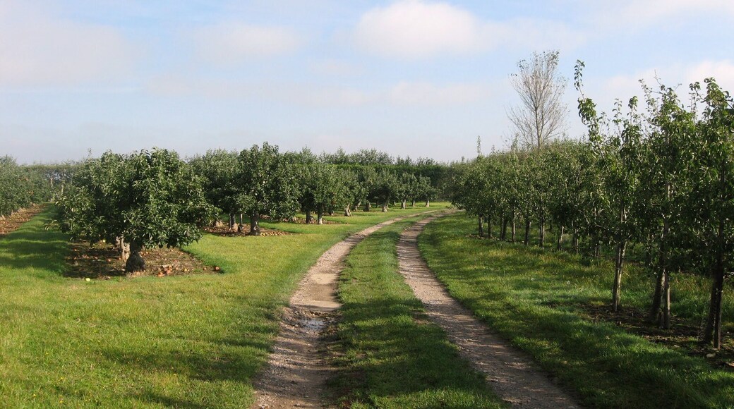 Perry, near Wingham. Kent, England