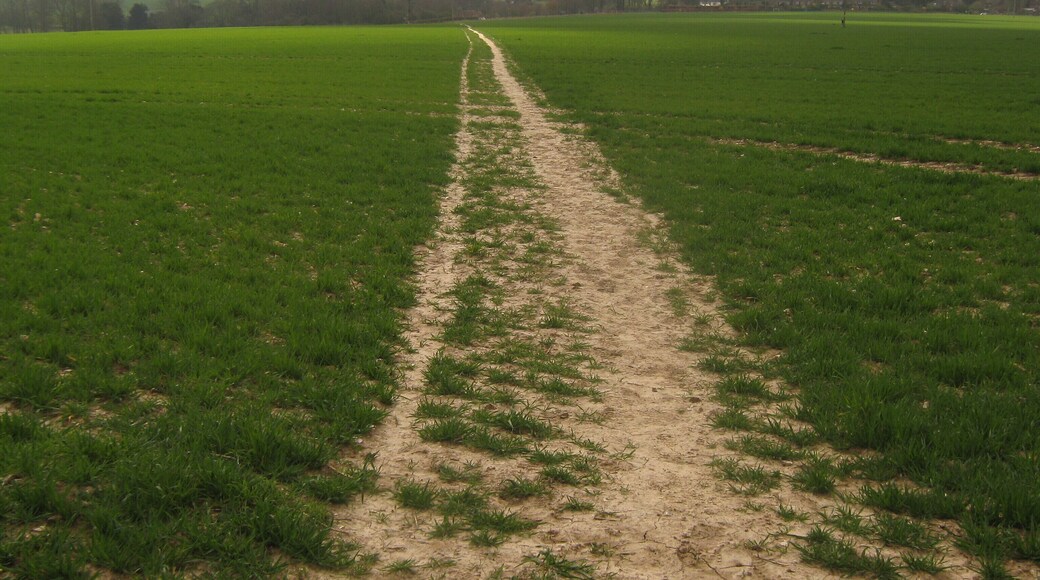 Footpath junction near Lower Hardres A path from Bridge Road leads straight on towards School Lane near Hardres Court Road. Another path should cross here, but it does not. A path heads right towards Fausett Hill. It should then head left, but it has been diverted slightly and follows the other path to a stile before diverting left towards School Lane and the church.