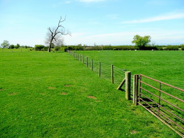 Footpath west Looking along the line of a not-discernable right-of-way across Severn Vale pastures.