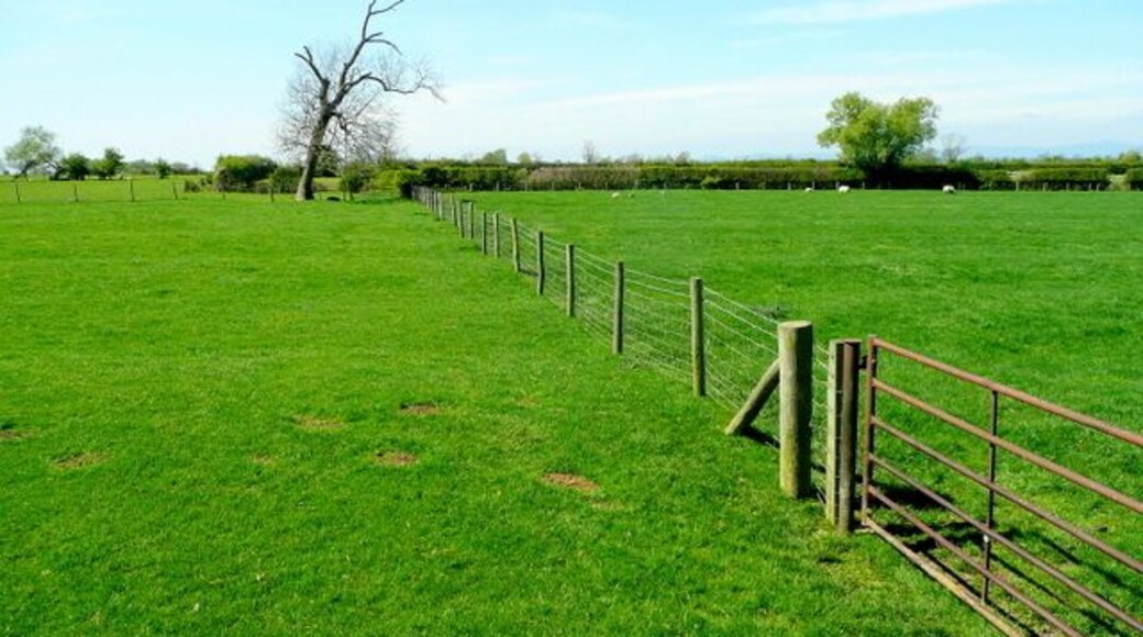 Footpath west Looking along the line of a not-discernable right-of-way across Severn Vale pastures.