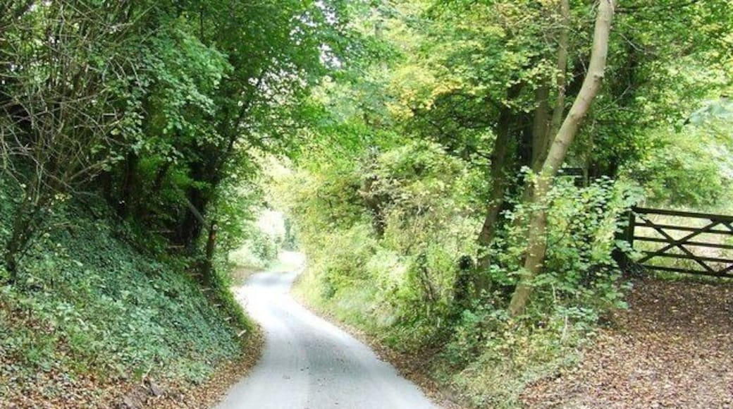 Greenway lane dropping down into Shurdington