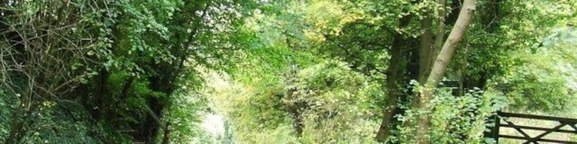 Greenway lane dropping down into Shurdington