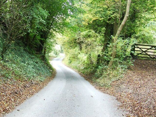 A narrow country road flanked by dense trees and a wooden gate.