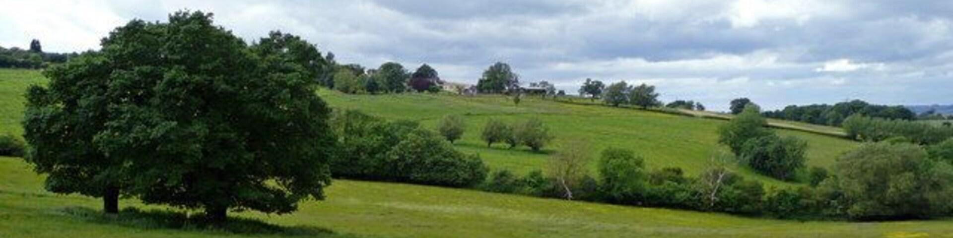 View towards Rushbury House A Cotswold view north of the B4632 between Winchcombe and Cleeve Hill.