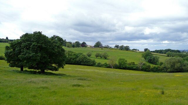 A green field with a large tree and rolling hills in the background.