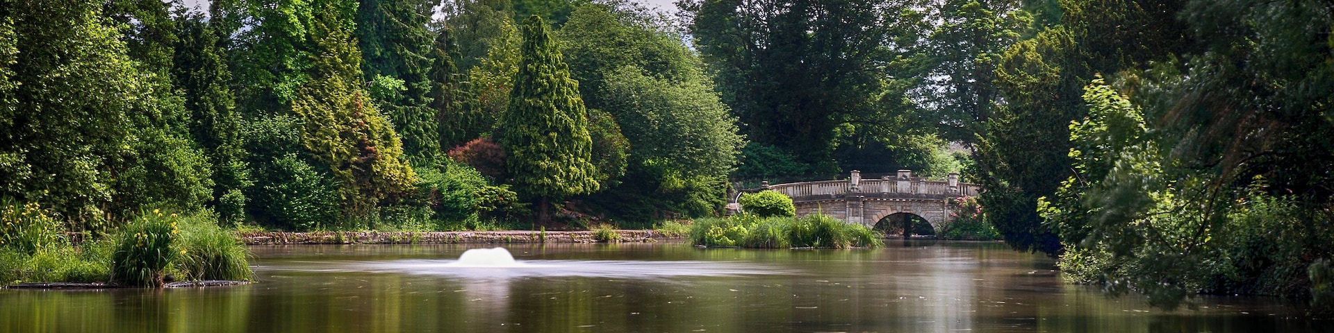 Lovely place to go for a walk