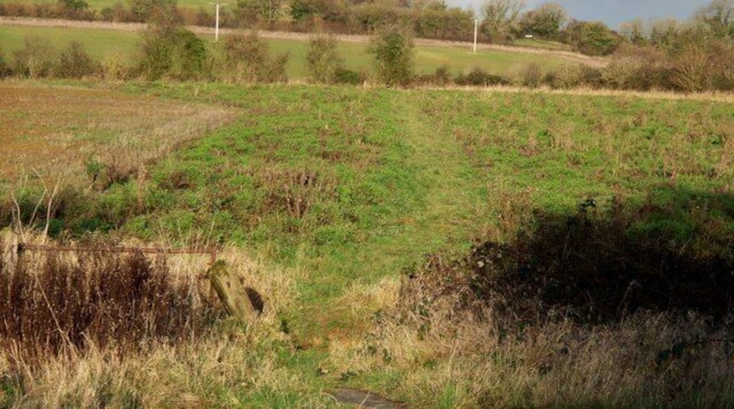 Path to Andoversford The path between Whittington and Syreford runs across the image along the hedge line in the middle distance. A short path leads from that path to the A40 on the western edge of Andoversford. This image is taken from the central reservation of the dual carriageway A40. Note the clouds - after a day of brilliant sunshine, it started to snow 10 minutes after this image was taken.