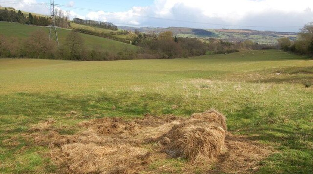 Pastureland west of Winchcombe in April View looks eastwards facing away from Cleeve Hill and towards the town of Winchcombe. Langley Hill is on the left. This is sheep pasture typical of the area.