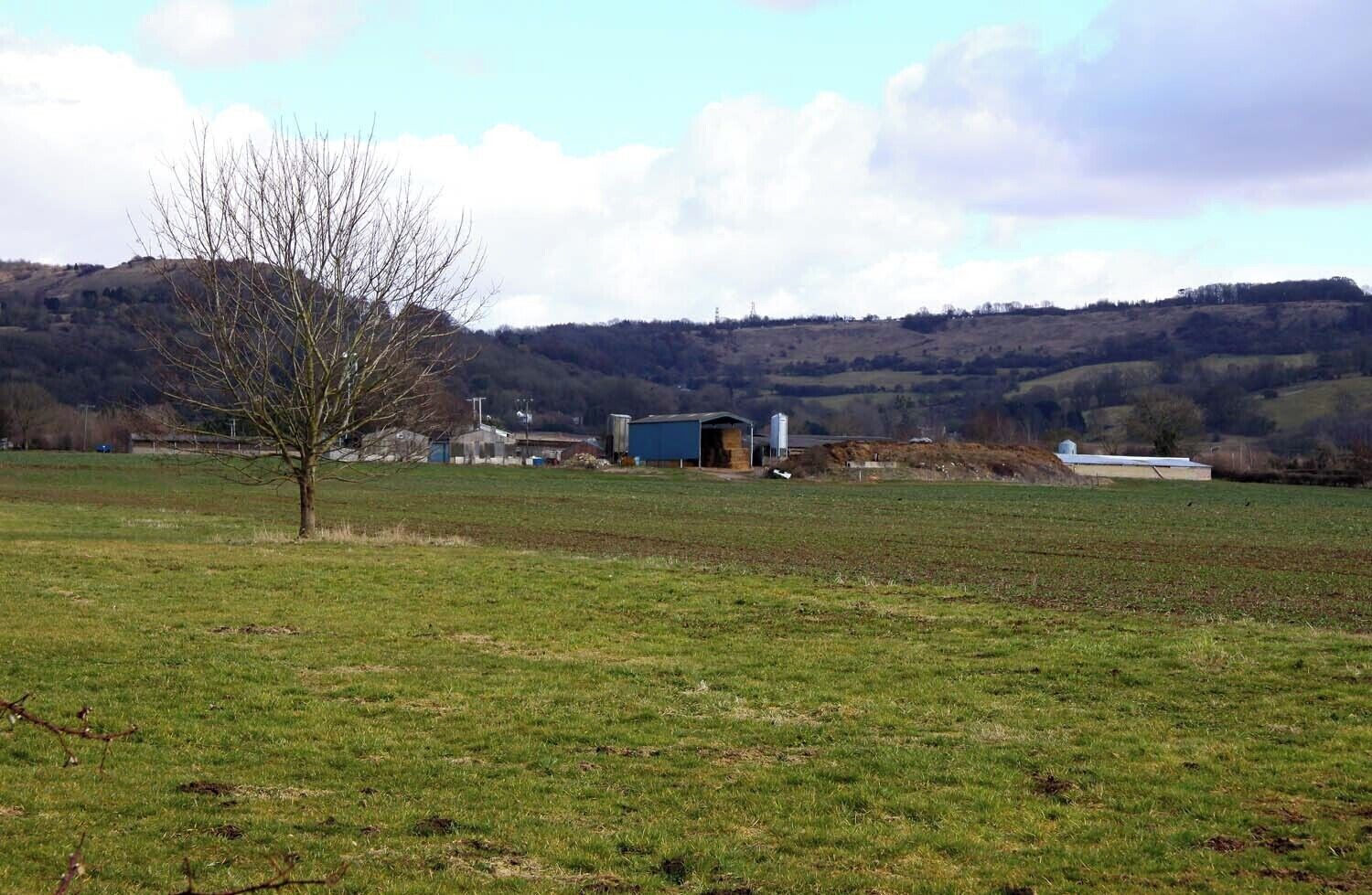 A rural landscape with a clear sky, a leafless tree, and a blue building in the distance.