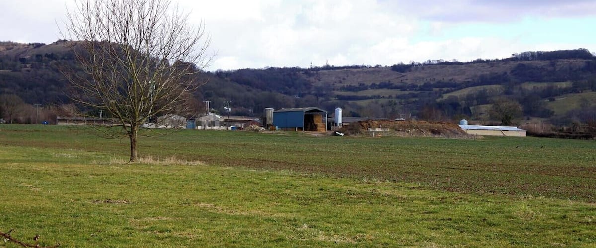 A rural landscape with a clear sky, a leafless tree, and a blue building in the distance.