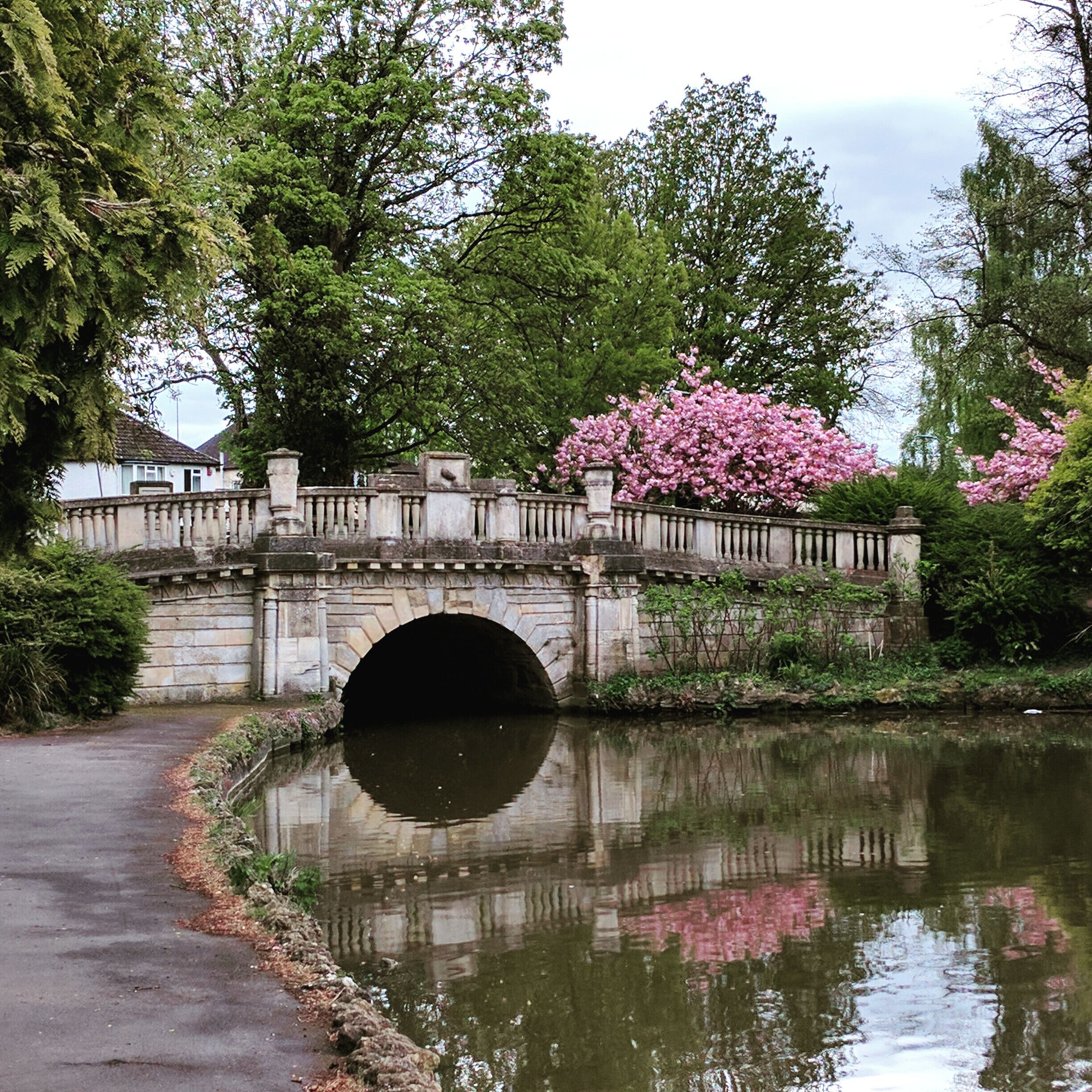 Picture perfect walk through the park. Well laid out paths and playgrounds for the kids as well as some spectacular views.
#LifeAtExpedia