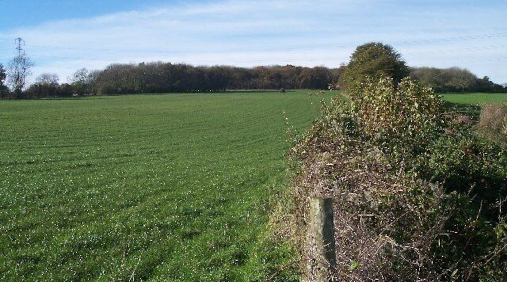 Arle Grove. Viewed from the east.