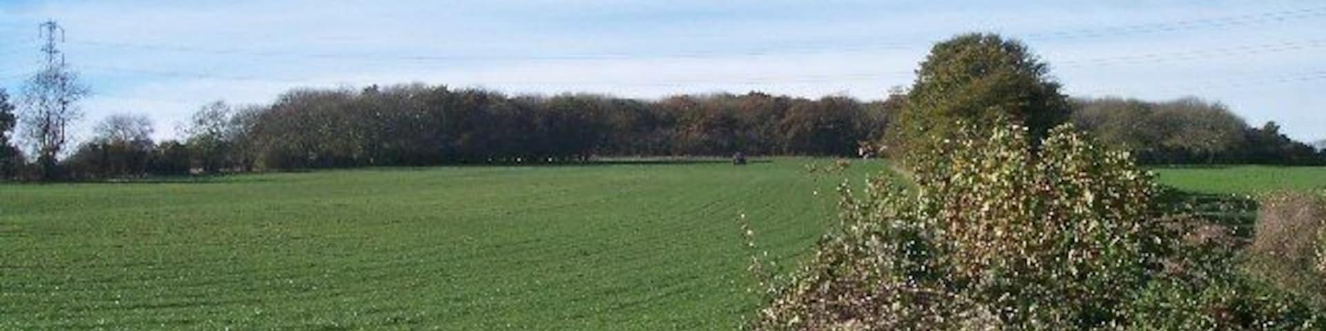 Arle Grove. Viewed from the east.