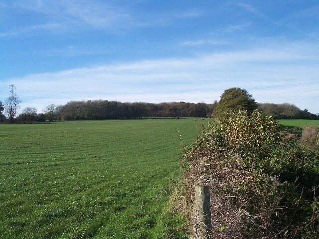 A vast green field with a stone wall and a tree in the foreground.
