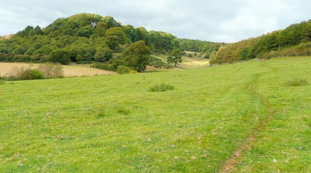 On the Wychavon Way 1 Approaching Oak Hill from Frampton Farm.